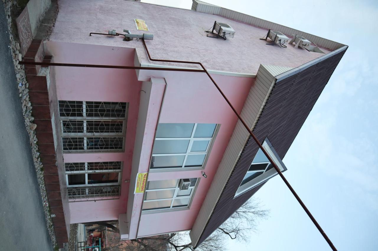 Ecopana Hotel Turkistan Luaran gambar